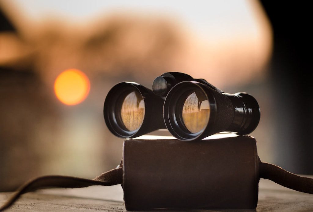 binoculars-search